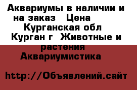 Аквариумы в наличии и на заказ › Цена ­ 450 - Курганская обл., Курган г. Животные и растения » Аквариумистика   